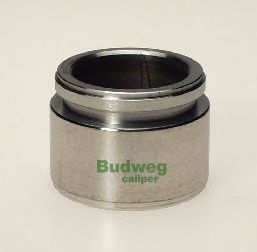 BUDWEG CALIPER 234210 -